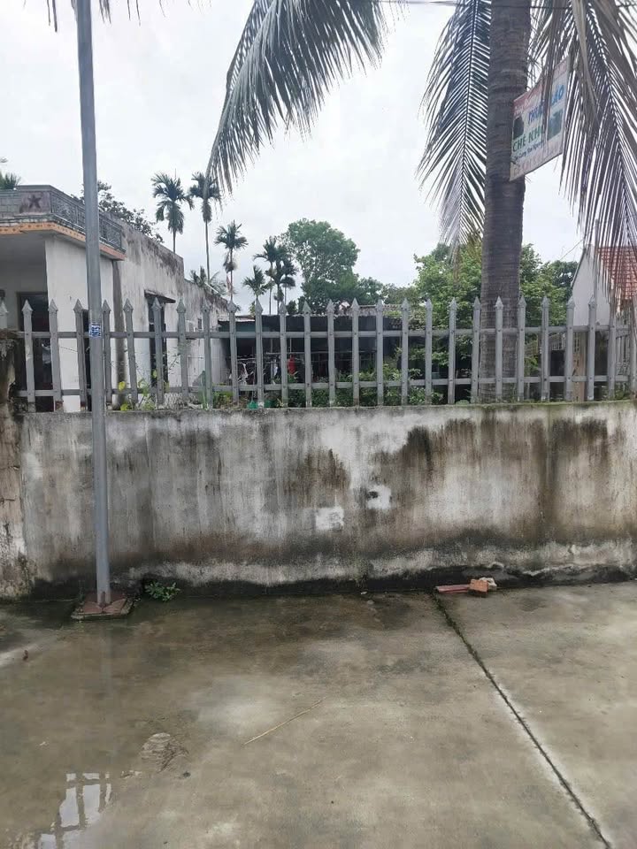 Đất thổ cư 138m² tại xã Quảng Ngọc - Giá chỉ 500 triệu - Đầu tư sinh lời ngay!