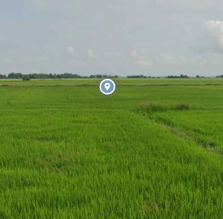 Đất nông nghiệp 4000m² xã Phước Hữu - Sổ hồng chính chủ, giá thỏa thuận!