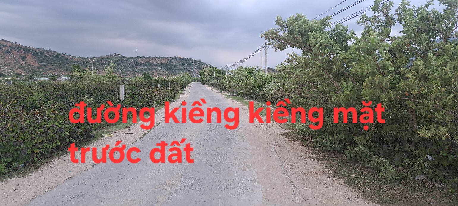 Đất nền 2 mặt tiền đường Khánh Phước 7000m² giá 1.26 tỷ - Tiềm năng đầu tư lớn!