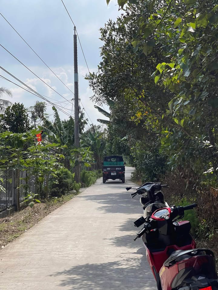 Đất nền Phú Hữu 204m² giá 599 triệu - Sổ hồng chính chủ, vị trí đẹp!