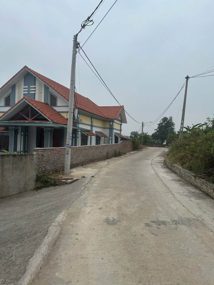 Đất nền Tiền An Quảng Yên 63m² giá chỉ 400 triệu - Cơ hội đầu tư hấp dẫn!