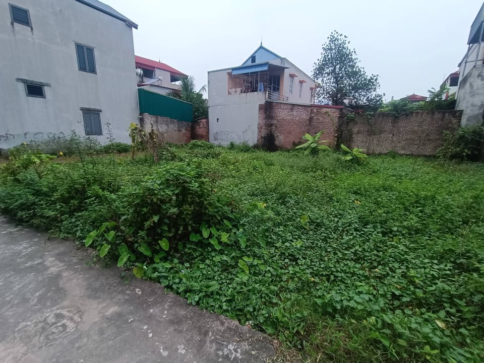 Đất nền 100m² tại Mai Đình, Sóc Sơn chỉ 28 triệu/m² - Cơ hội đầu tư hiếm có!