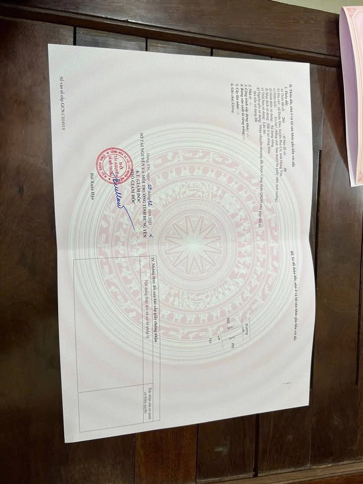 Lô đất đẹp Đoàn Đào, Huyện Phù Cừ 63,5m² - Vị trí đắc địa, giao thông thuận lợi!