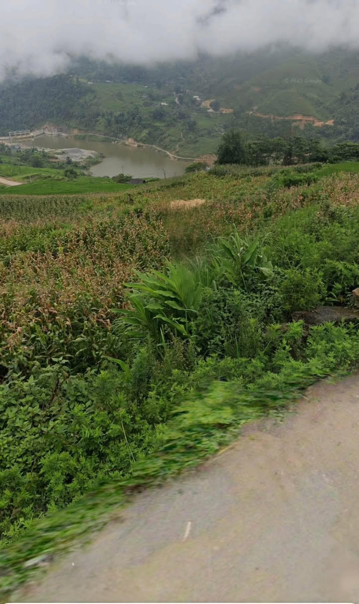 Đất thổ cư 2000m² tại thôn Sử Pán, xã Tả Van, Sa Pa - Giá chỉ 15 tỷ!