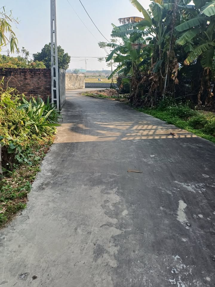 Đất nền Quỳnh Sơn, Bắc Giang 145m² giá 700 triệu - Mặt tiền rộng, vị trí đắc địa!