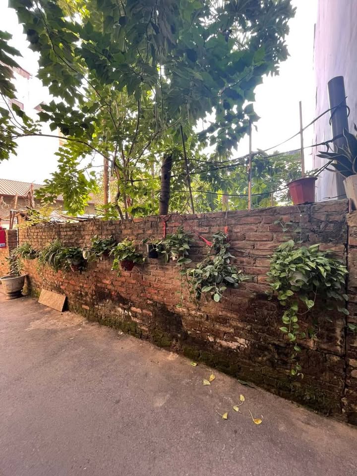 Đất nền Lê Trọng Tấn, Hà Đông 215m² giá 30 tỷ - Cơ hội đầu tư hiếm có!