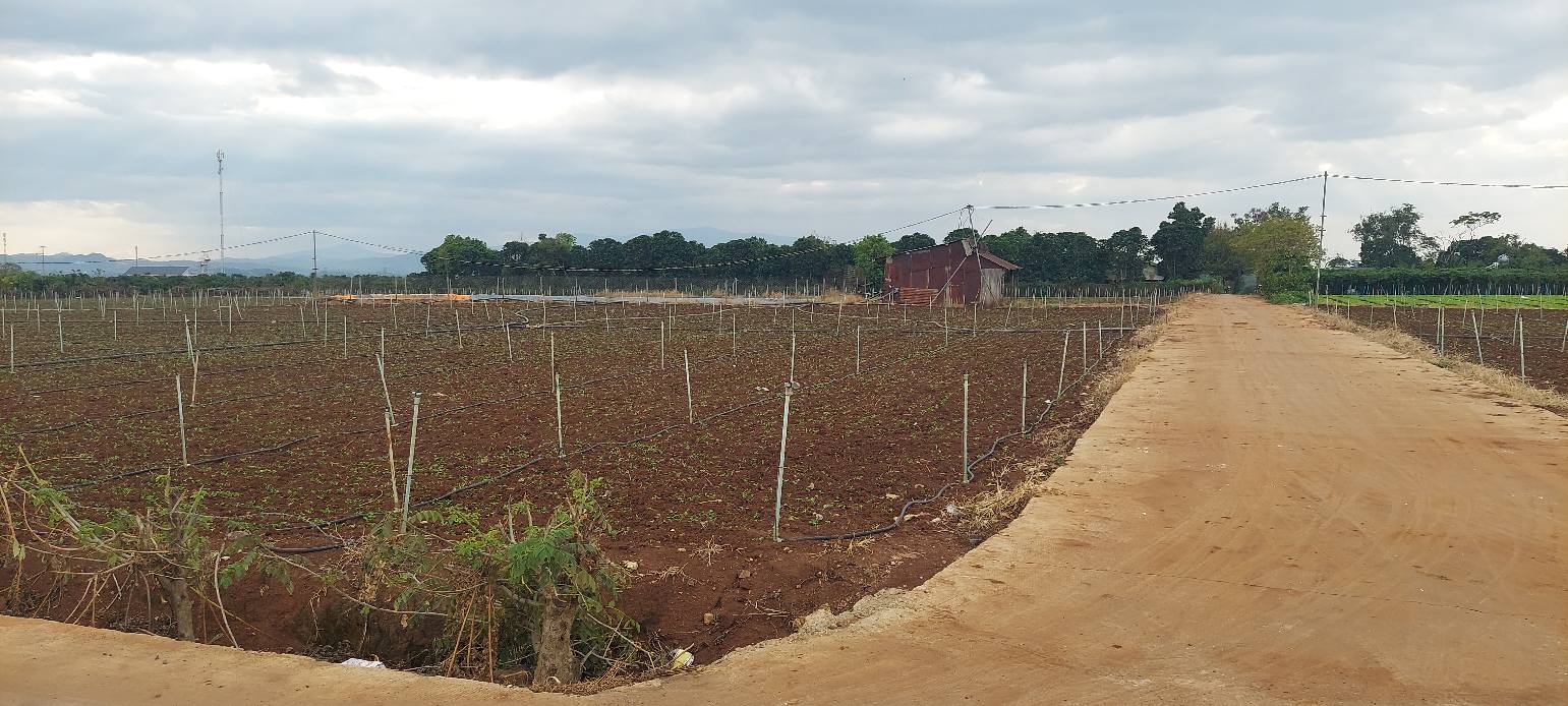 Bán đất Huyện Đức Trọng 10.584m², 400m thổ cư - Giá chỉ 24 tỷ!