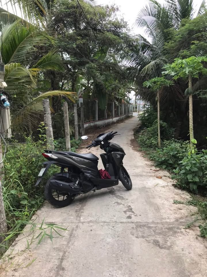 Đất nền 100m² xã Mỹ Phong, Mỹ Tho - Đường ô tô vào tận nơi!