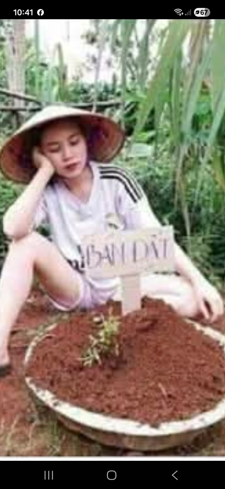 Đất nền Hạ Long 60m² giá 1 tỷ - Sổ hồng chính chủ, cắt lỗ nhanh!