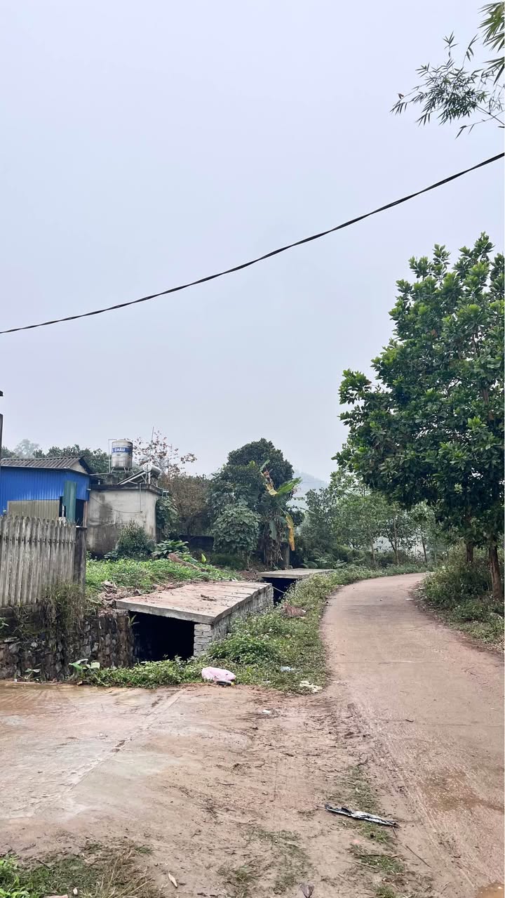 Đất nền Phúc Xuân 150m² giá 1.2 tỷ - Đầu tư lý tưởng tại Thái Nguyên!