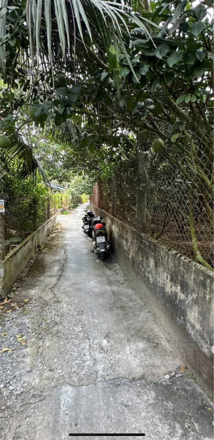 Đất nền Đạo Thạnh, Mỹ Tho 157m² giá 900 triệu - Đầu tư sinh lời hấp dẫn!