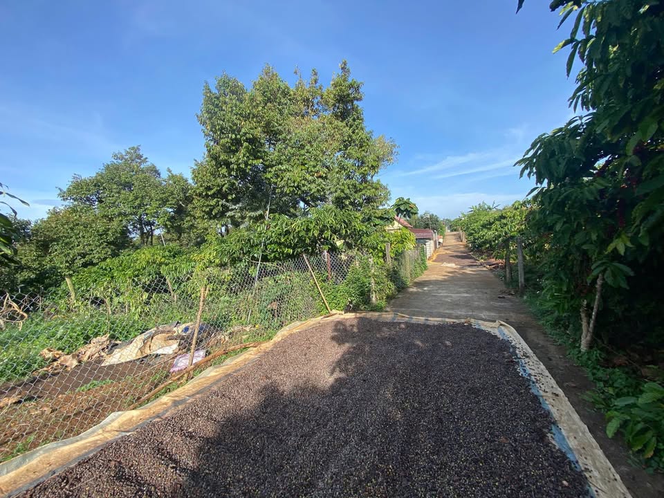 Đất thổ cư Lộc An 200m² giá 1.8 tỷ - Cơ hội đầu tư tốt!