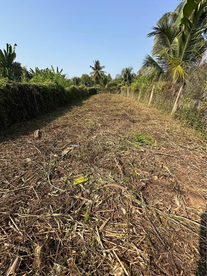 Đất thổ cư mặt tiền Bùi Tấn, Tân An 224m² giá 1.5 tỷ - Cơ hội đầu tư hấp dẫn!