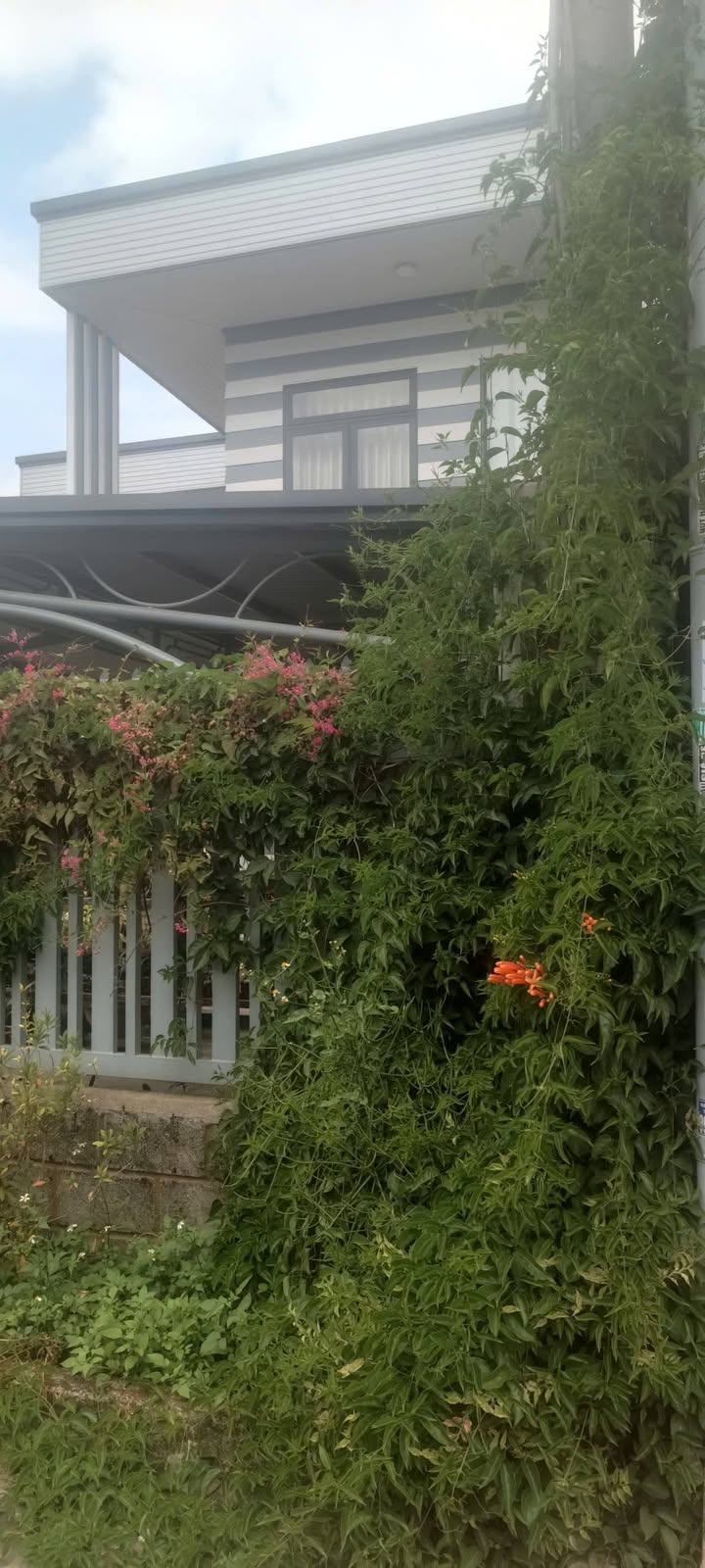 Nhà mặt tiền Nguyễn Trường Tộ, Bảo Lộc 105m² giá 3.4 tỷ - Chính chủ bán gấp!