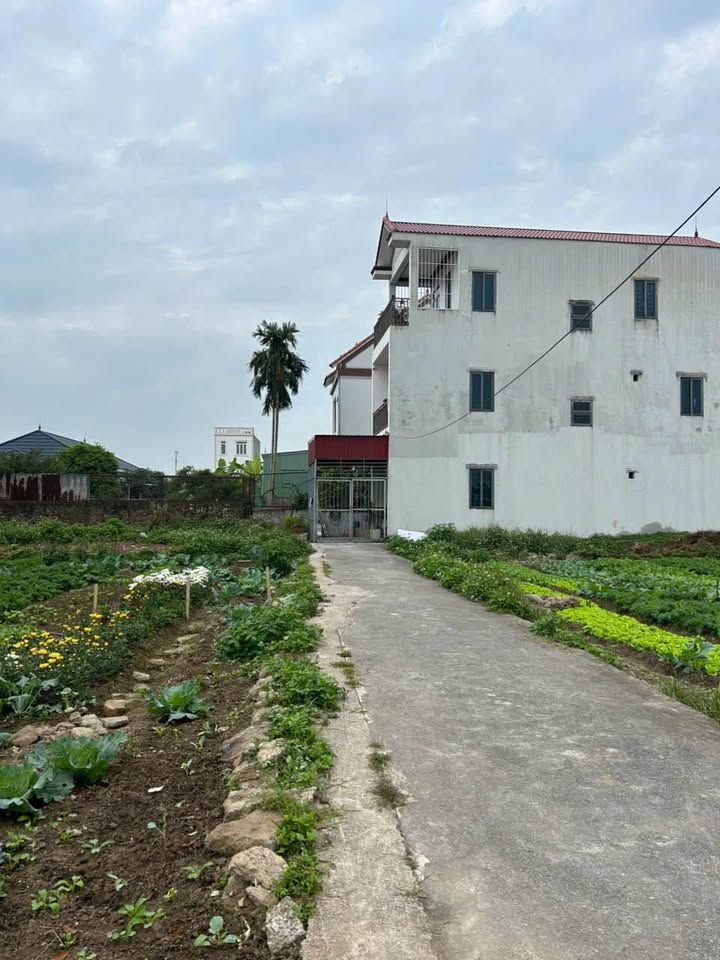 Đất nền Hải Thành 2, 60.7m² giá 1.5 tỷ - Ngõ ô tô vào tận nơi!