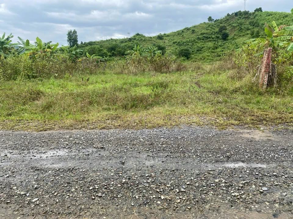 Đất thổ cư 1000m² tại Thôn Buông Đuông, Ninh Hòa chỉ 750 triệu - Cơ hội đầu tư hấp dẫn!