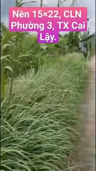 Đất thổ cư Kp6, Phường Mỹ Phước Tây 1523m² giá 100 triệu/m ngang - Cơ hội đầu tư sinh lời!