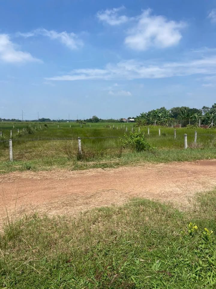 Đất vườn xã Trung An, huyện Củ Chi 616m² giá 1.55 tỷ - Cơ hội đầu tư tuyệt vời!