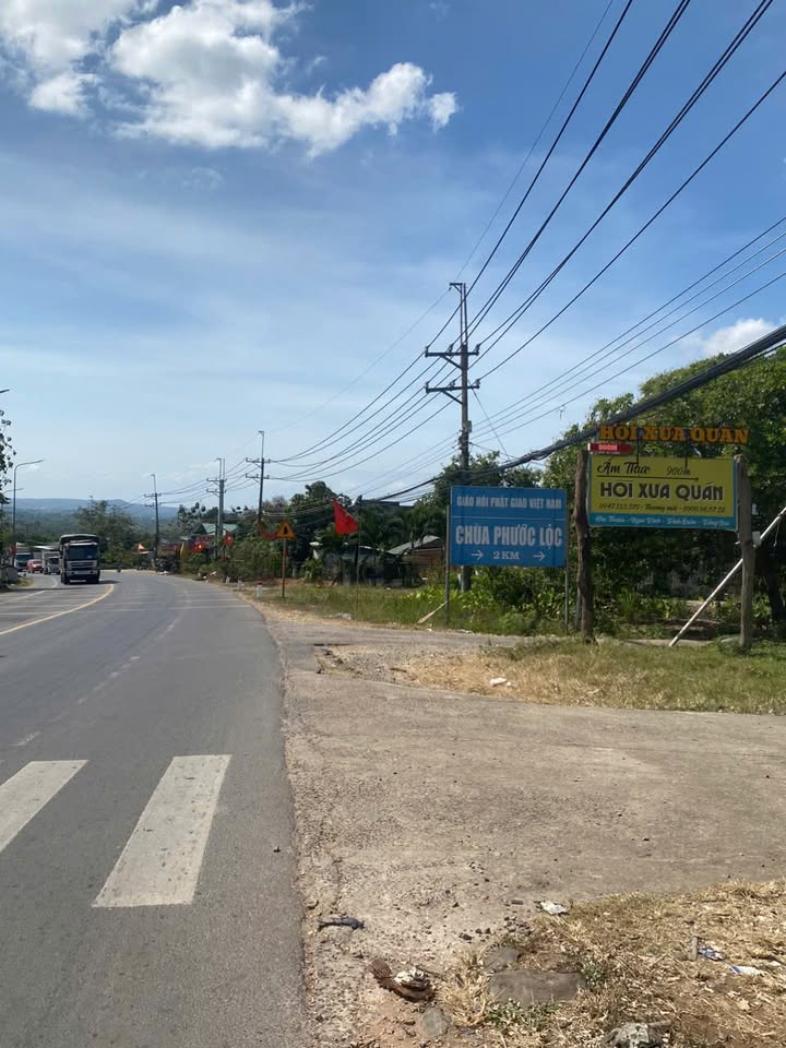 Đất Farm 1 Sào Đẹp Xã Ngọc Định, Huyện Định Quán, Giá 1.8 Tỷ - Chính Chủ Bán!