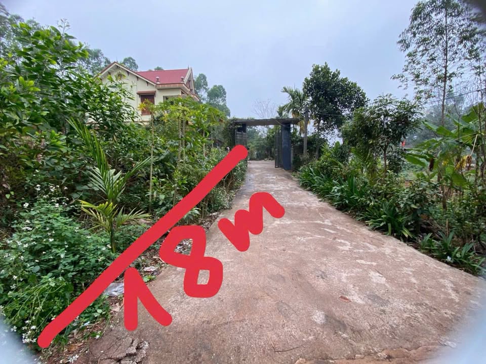 Đất vườn Hương Lạc, Lạng Giang 360m² giá tốt - View cánh đồng tuyệt đẹp!