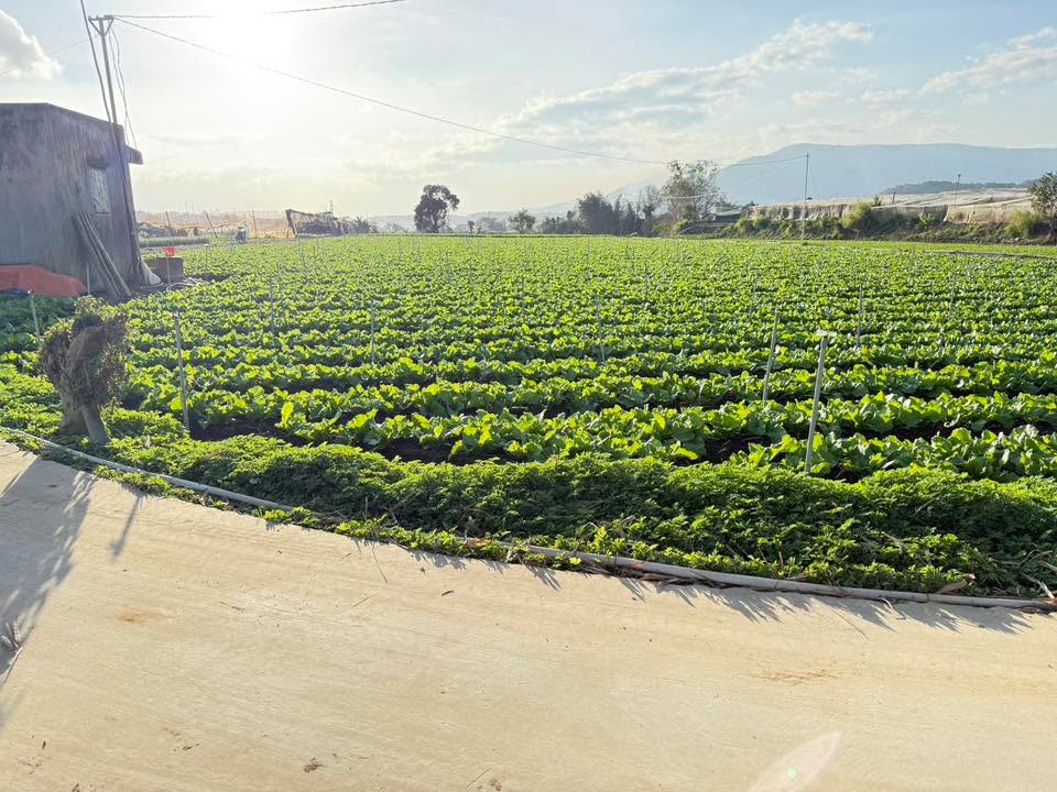 Đất Farm Lạc Thạnh - Lạc Lâm - Đơn Dương 1080m² giá 1.95 tỷ - Sổ đỏ chính chủ!