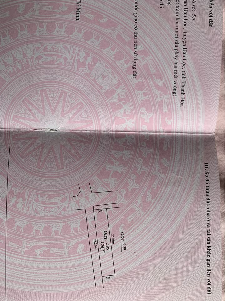 Đất liền kề đường Nguyễn Chí Hiền, Hậu Lộc 252,6m² - Đầu tư sinh lời!