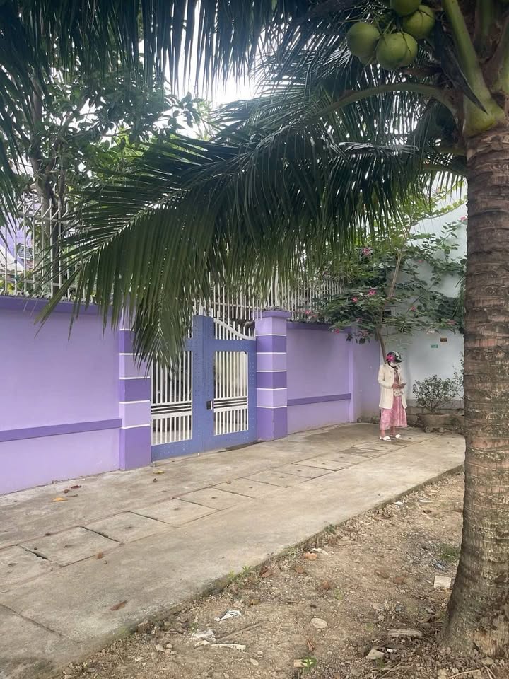 Biệt thự vườn xã Diên Lạc 295m² giá 2.95 tỷ - Sẵn sàng ở ngay!