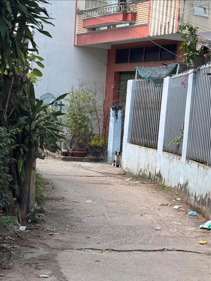 Nhà riêng hẻm cạn Thành Thái 40m² giá 1.8 tỷ - Vị trí đắc địa thuận tiện