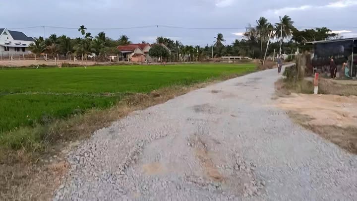 Đất nền Ninh Thọ 84m² giá 420 triệu - Đường khổng lồ thuận tiện giao thông!