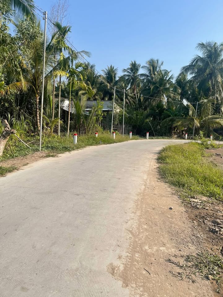 Đất nền thổ cư 50m² tại Xã Tân Thành Bình, giá 750 triệu - Đầu tư sinh lời