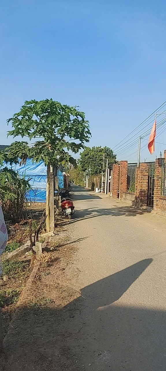 Đất thổ cư 250m² tại xã Đa Phước Hội, Mỏ Cày Nam - Giá chỉ 650 triệu