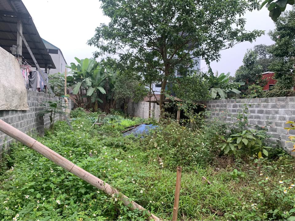 Đất thổ cư 290m² tại trung tâm Lương Sơn chỉ 1.9 tỷ - Cơ hội hiếm có!