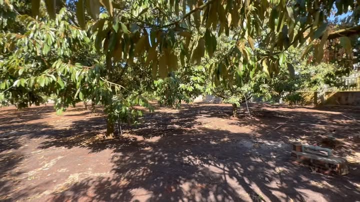 Đất farm 2 mặt đường cổng đăng kiểm Trà Đa 2304m² giá 5 tỷ - Cơ hội đầu tư sinh lời!