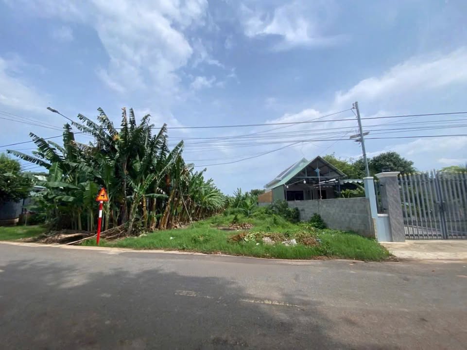 Lô Biệt Thự Mặt Tiền Đường 36, Hoà Long, 500m² - Khu Dân Cư Sầm Uất!