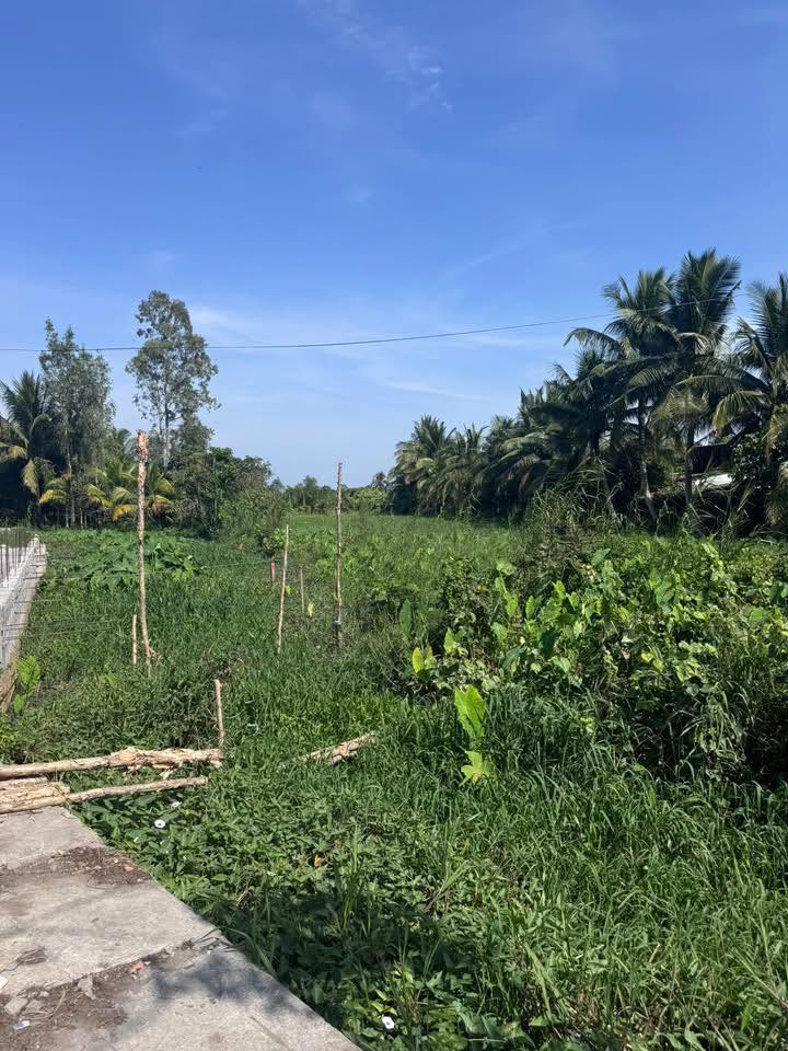 Đất nền mặt tiền đường Lê Phước Thọ, quận Bình Thủy, 1848m² giá 8.5 tỷ - Pháp lý rõ ràng!