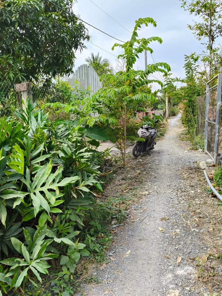 Đất nền An Cư Cái Bè 468m² giá 950 triệu - Đầu tư sinh lời ngay!