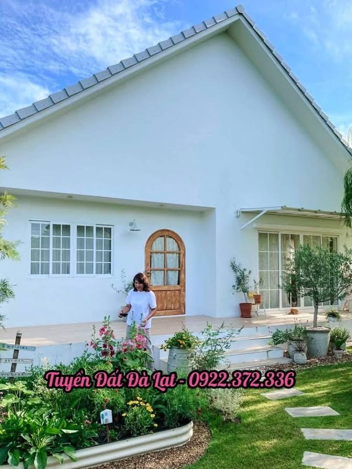 Đất nền Đơn Dương 290m² giá 850 triệu - Cơ hội đầu tư sinh lời!