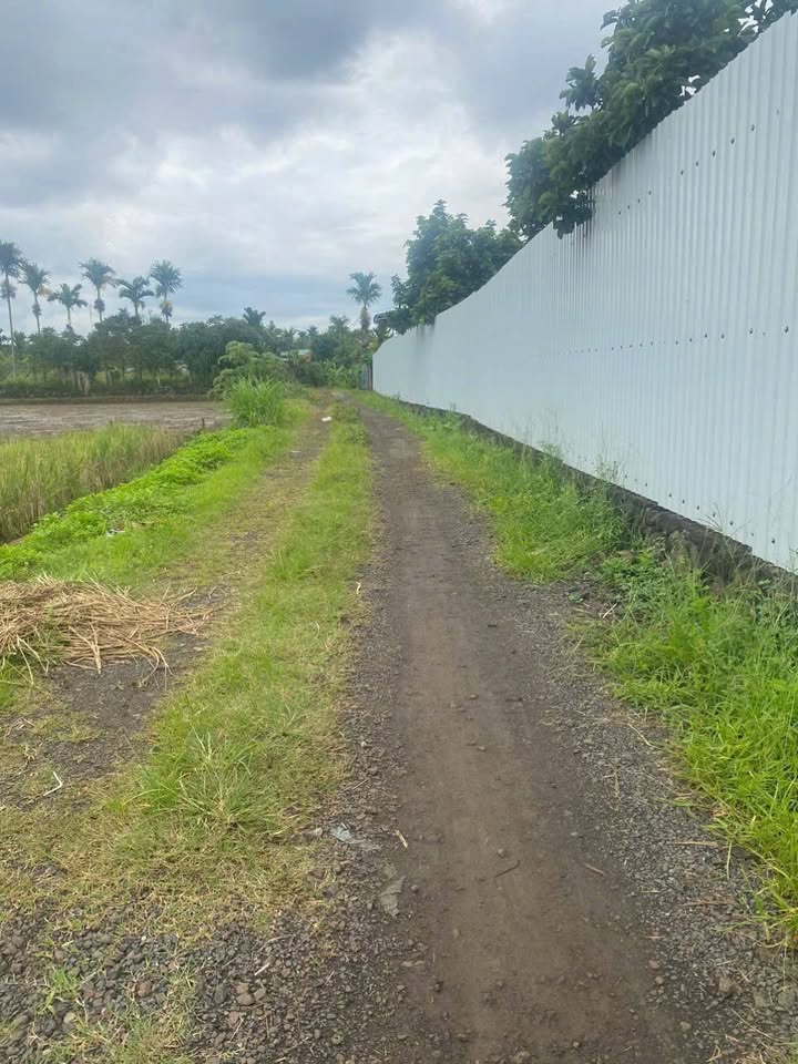 Đất nền thôn 2 Ea M'nang 1500m² giá 567 triệu - Cơ hội đầu tư tuyệt vời!