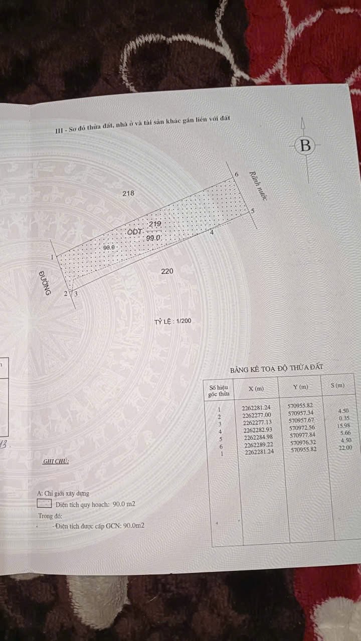 Đất mặt đường Phù Nghĩa, TP Nam Định, 99m² - Vị trí đắc địa cho đầu tư!