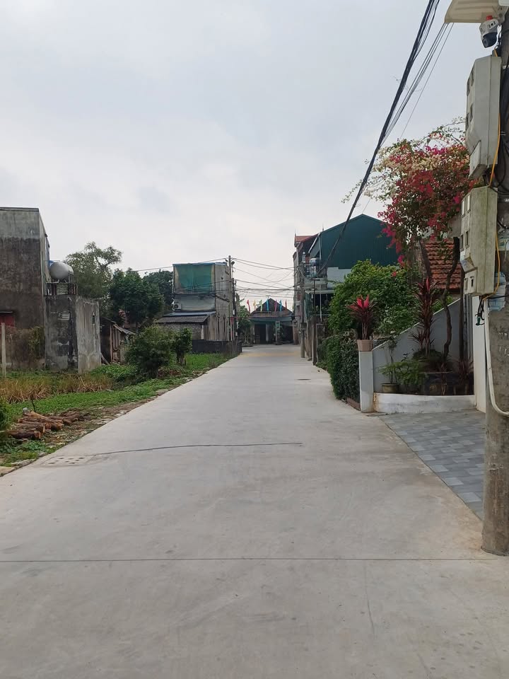 Đất nền lô góc tại ngõ đường Trần Huy Liệu, 60m² giá chỉ 1.35 tỷ - Đầu tư sinh lời!