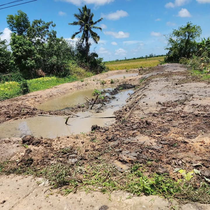 Đất nền ấp Tân Hưng, Châu Thành 363m² giá chỉ 4xx triệu - Gần sông, ô tô vào tận nơi!