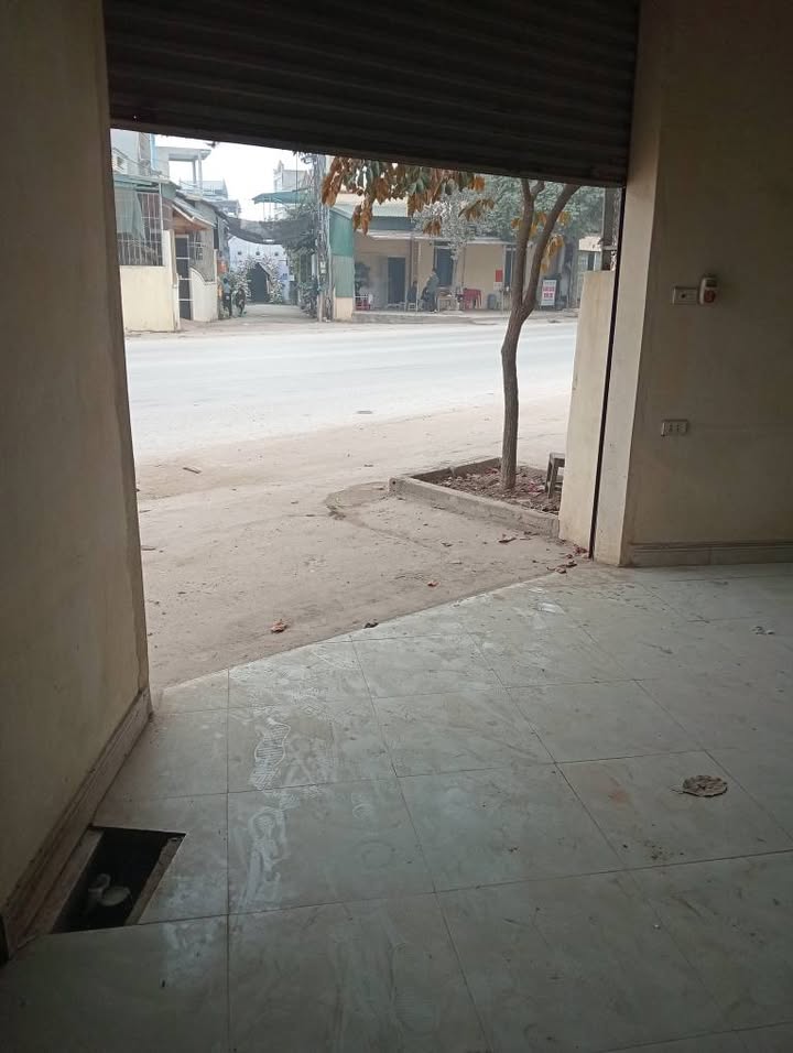 Nhà cấp 4 Quảng Thịnh Thanh Hóa 240m² giá 4 tỷ - Đường rộng giao thông thuận lợi!