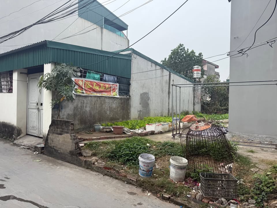 Đất nền khu đô thị Đồng Vãng, Thị Trấn Gia Lộc, 61m² - Giá đầu tư cực tốt!