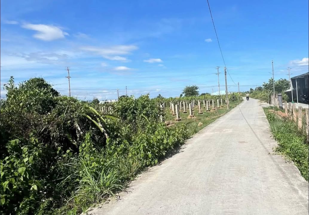 Đất nền 1 sào 7 cây lâu năm tại Hàm Hiệp - Giá chỉ 490 triệu, thương lượng tốt!