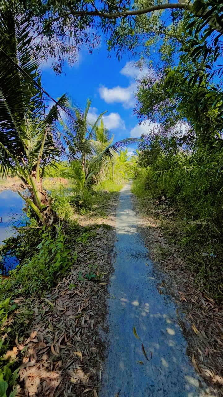 Đất nông nghiệp 7.760m² Phường Tân Xuyên Cà Mau - Đầu tư lâu dài, giá tốt!