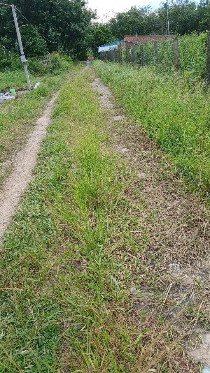 Đất nền 1,5 công tại Tân Bình, Tây Ninh giá 900 triệu - Đầu tư sinh lời ngay!