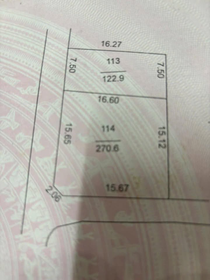 Đất thổ cư tại xã Bạch Hạ, 270m² - Giá thỏa thuận, đầu tư sinh lời!