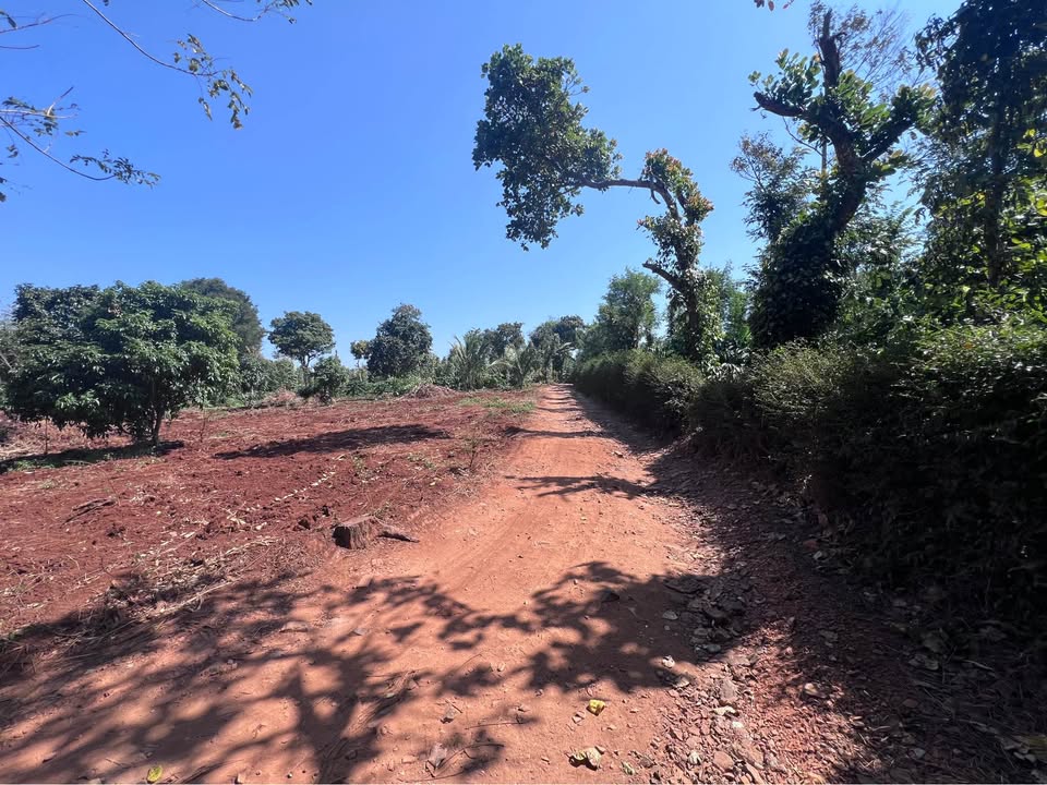 Đất nông nghiệp 500m² tại hẻm cấp 1 đường Y Moal - Giá chỉ 600 triệu