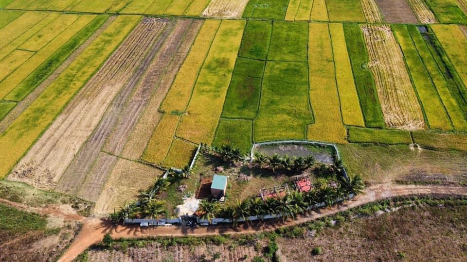 Đất 1 Sào 6 Quảng Tiến - Cư M'gar 4320m² giá 1.95 tỷ - View đồng lúa thoáng mát!