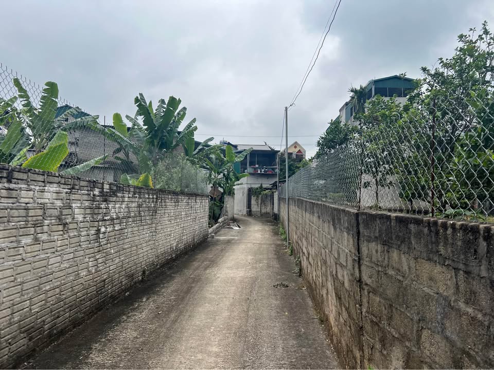 Bán đất ngõ Kim Bình Tràng Đà 168m² giá 795 triệu - Đầu tư sinh lời ngay!